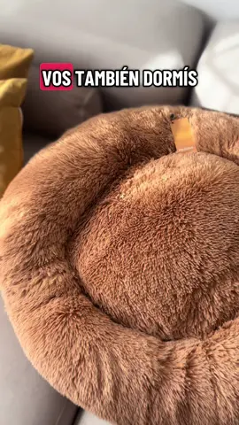 Antes era de sofá o alfombra, pero ahora… ¡soy fan de mi camita antiestres! Si querés saber por qué, mirá el video y convencé a tu humano 🐶🐾🛌 #PerroFelices #DescansoPerro #RelajacionCanina #CamaAntiEstres #perrostiktokers @pawtitas.arg 