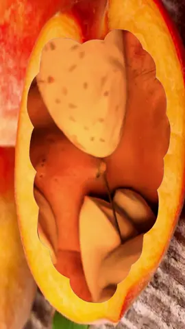 #acnetreatment #acneproneskin #blackheadextractor #trenddingtiktok #viralvideos 