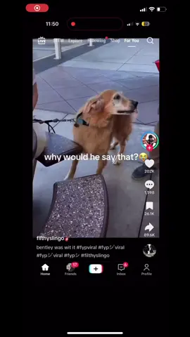 #wild #crazy #tiktok #viral #fyppppppppppppppppppp