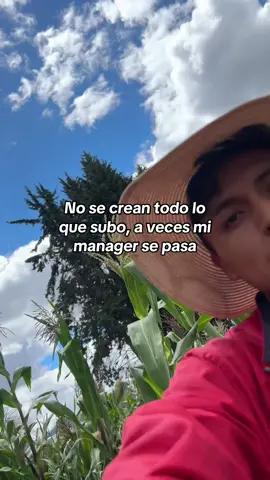 #fyp #frasesteyus #fullchichadelabuena💯😎❤🍃 #jajaja #humor  
