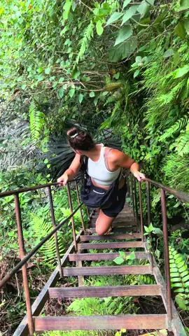 When you accidently take the local side down….. we already had to drive an hour deep into the jungle from our remote village to get here hahaha.. oh also ANACONDAS ARE OUT HERE. HELP  #indonesia #hike #adventure #tumpaksewu #waterfall @Monae | How To Travel smarter 