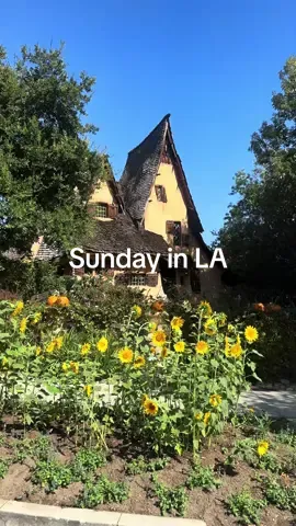 Perfect fall Sunday in LA
