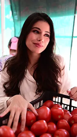 Porque no regatean en el supermercado y aquí si? 