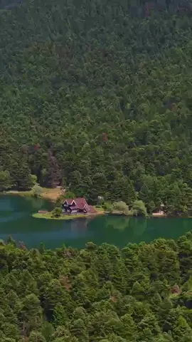 Golçuk is a natural park in Bolu, Türkiye 🇹🇷 #turkey #park #travel #nature #amazing