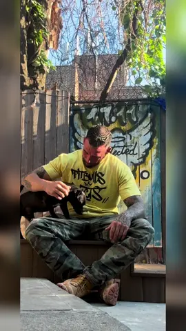 Just a man on a mission asking you all for support  This is what you support 🙏 our dogs do not suffer in silence Our dogs recover in peace  Today is SUPPORTER SUNDAY ❤️ Please understand your $1 makes a difference today Tax deductible donation!!! Please help us today!!!! Vemno Pitbullsandaddicts  Zelle 9176828307 PayPal.me/Pitbullsandaddictsmf Pitbullsandaddicts.org I ask for support and I show you the work being done!!  FOR THE DOGS