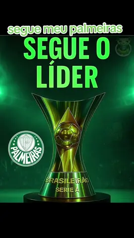 #viral_video #palmeiras #brasileirao #viral_video 