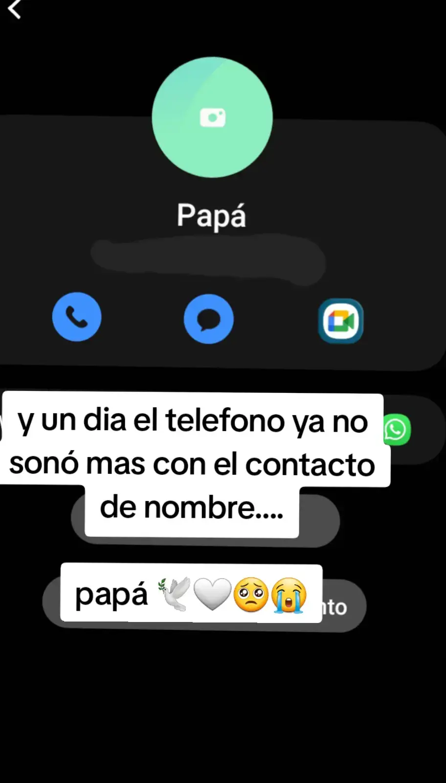 #mipapaenelcielo #papi #teextrañopapá 