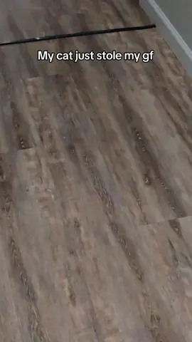 #boycat #gf #BestFriends 