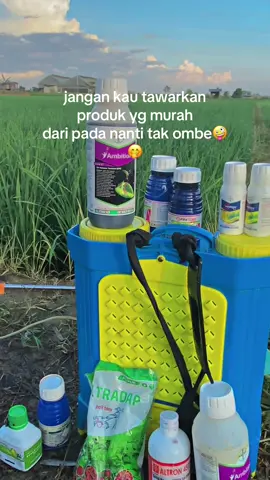 #CapCut 🤪🤪🤪#sygenta #bayer #fyp #petanimuda 