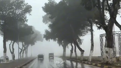 قورينا حيث يلتقي الصيف الذهبي بالشتاء الفضي والخيول تهمس بأحلام الحرية #شحات #البيضاء_ليبيا 