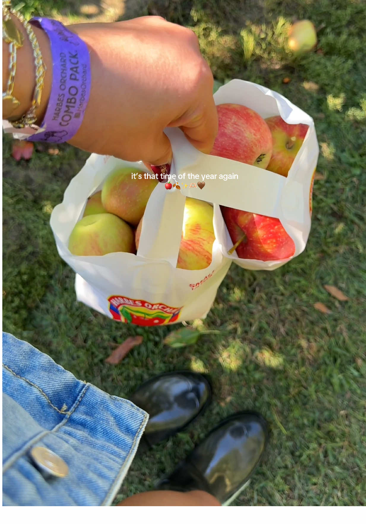 apple picking sundays 🫶🏻 #spendthedaywithme #applepicking #falltimevibes #fyp #vlogging 