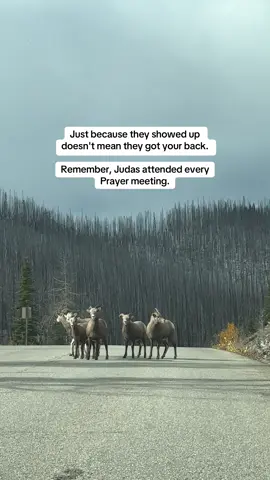 It reminds us that presence doesn’t equal loyalty. Some people might be around you, attend your events, or act friendly, but their intentions might not be genuine. #loyalty #genuine #connection #friendship #fyppppppppppppppppppppppp 