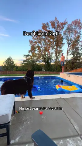 living with a lifeguard ❤️🐾