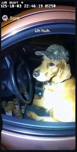 #POV: When your Golden Retriever outsmart the cops. 🚓🐶💨SoraAi #SoraAI #AIshorts #FunnyAI #AIVideo #DogAI #GoldenRetriever #DogComedy #DogTok #PetTok #CaughtOnCamera #DogHumor #AItrend #AIedit #AIViral #AIFunny #PetMischief #DogLife #ViralDogs #SmartDogs #AIStory #FunnyPets #DogReel #AIVideoEdit #DogMemes #AIClips #DogAdventure #AIDogs #ComedyClip #AIShortsViral #FunnyDogVideo #AIWorld #DogEnergy #ViralMoment #DogChase #PetReels #DogVibes #SoraMoment #AIHumor #DogsBeingDogs #AIInAction #AIEntertainment #AICreators #DogLovers #PetHumor #AIDigital #AIFun #DogGoneWild #PetLife #AIVibe #DogDriving #FunnyDogChase #DogTraffic