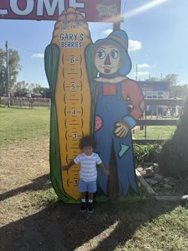 Family Day at the Pumpkin Patch ❤️🎃 #viral #familytime #halloween 