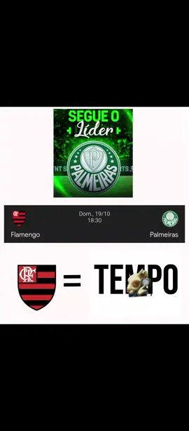#brasileirao #futebol #flamengo #palmeiras 