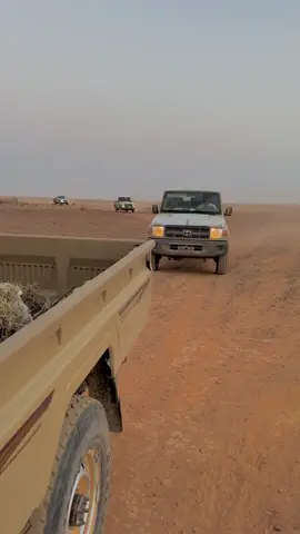 #في هذا اليوم 