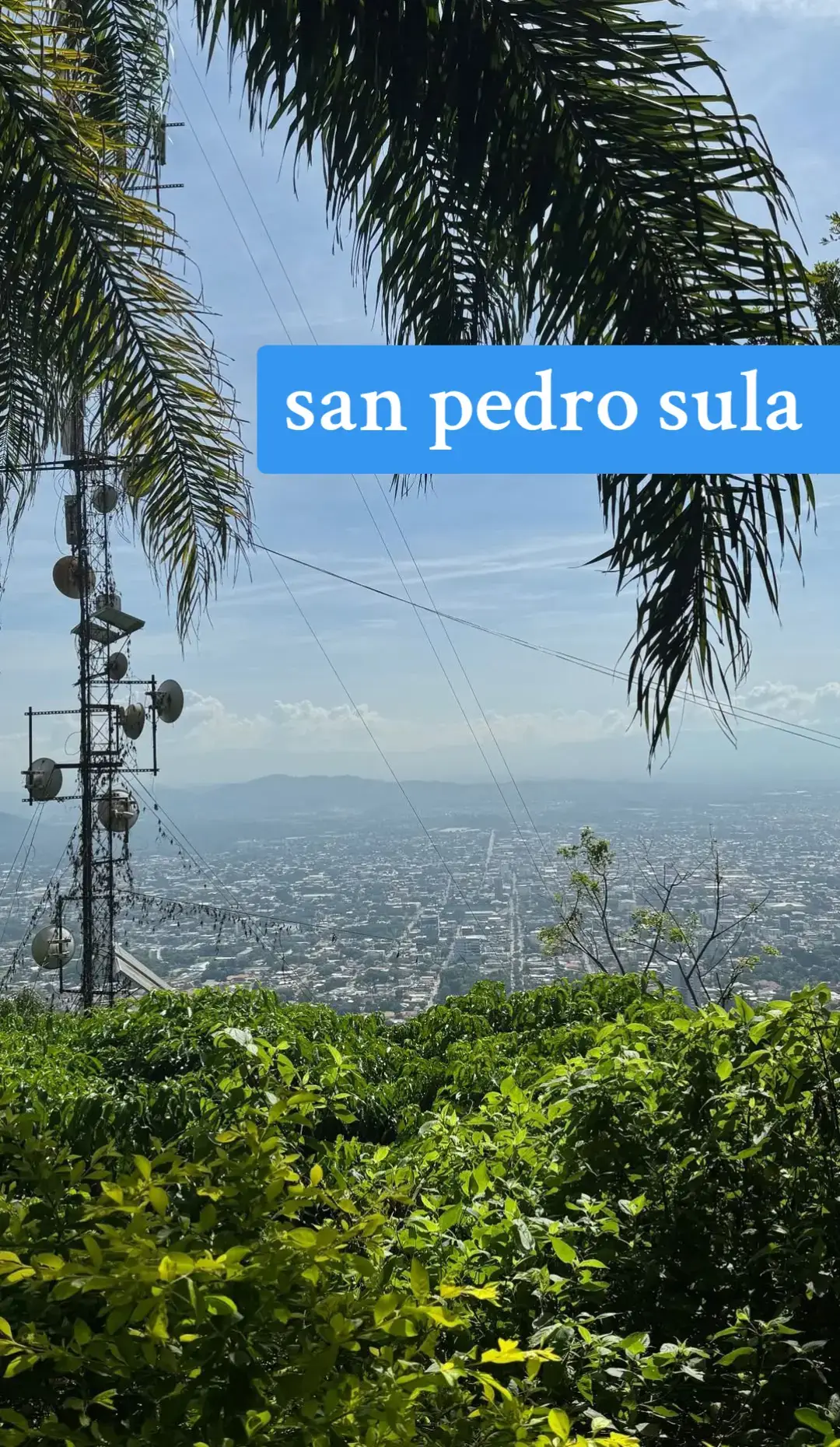ustedes nunca van a entender eso amigos míos porque ustedes viven en una burbuja yo ya pasé lo que ustedes apenas comienzan con todo respeto y el amor que les tengo que Dios me los cuide y me los guarde el Señor me tiene aquí y es un propósito Es un plan ustedes están felices sonríen y me preguntan qué hago en San Pedro Sula al mismo tiempo me asusta la pregunta que me hacen porque es pura ignorancia Pero bendiciones desde la Honduras de aquí un saludo a las Honduras de allá