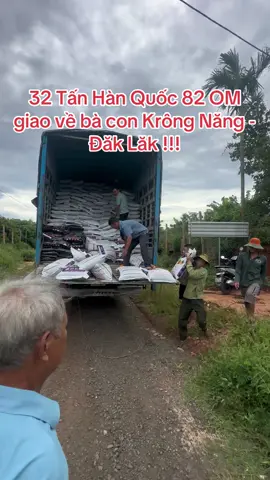 32 Tấn Hàn Quốc 82 OM giao về bà con Krông Năng - Đăk Lăk !!!#nongnghiep #phanhuuco #tâynguyên #saurieng 