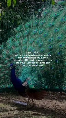 #viraltiktok #logunede💛🏹💙 #mulherdepreso🔓🕊👫💍 