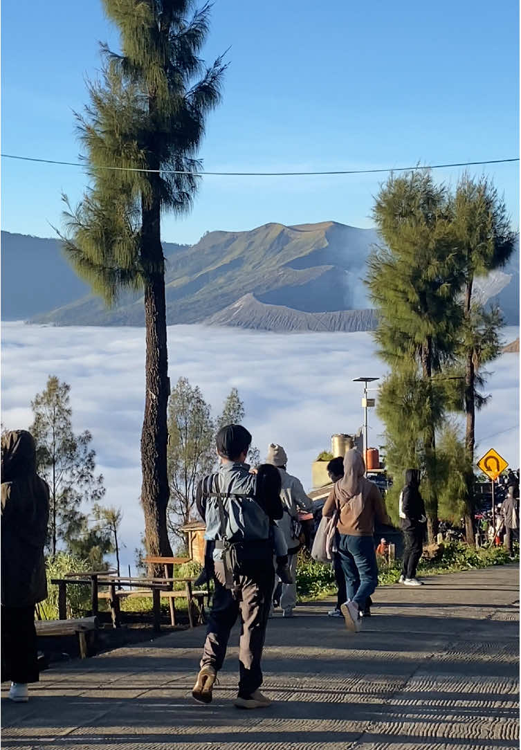Bromo diliat sisi manapun tetep cantik😍 Dm for trip and fotografer bromo📸🍃 #promomakan1010 #fotografer #adambromo #bromo #fyp 