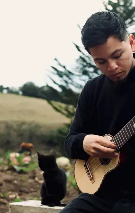 #nariño #pasto #charango 