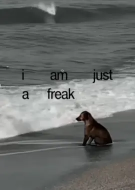 #CapCut I hope the pup is ok🙏 (song: ilyTOMMY - sick & tired 3) *unreleased* @sims #ilytommy #hoodtrap #dogsoftiktok #tiktok 