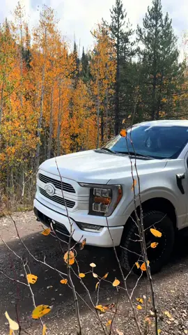 Fall 🍁 #fyp #trucks #f150 #viral #idaho 