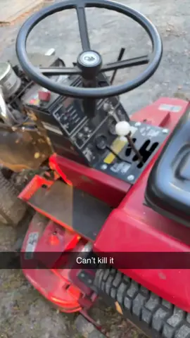 #fyp #fup #lawnmower #wheelhorse #kohler 