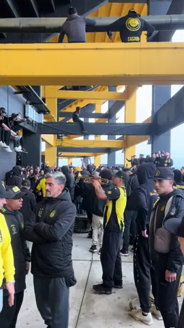 Vamo aurine vamo a ganar #peñarol #fyp #manya 
