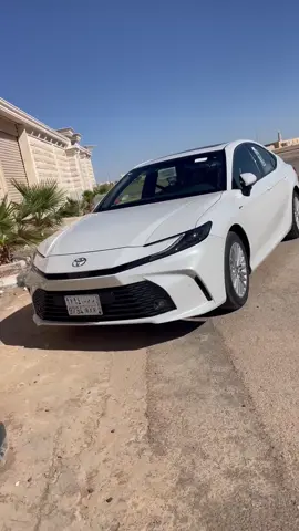 باركولي 🥺