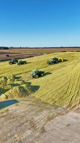 cornsilage #farm #2025farming 