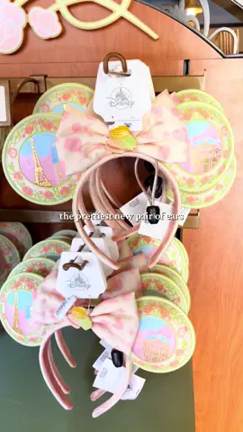 Are you kidding @Disney Parks ?! 💗 #disneymerch #newdisneymerch #minnieears #mickeyears #disneyoutfits 