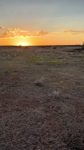 #deepcreek #auctioneer  #strickersells #imfine 