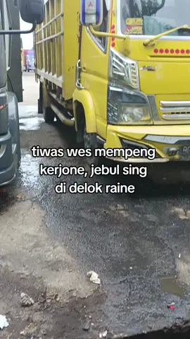 #promomakan1010 #ternosontek #trandingvideo #fyp #driver 