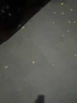 услышал брат связь 