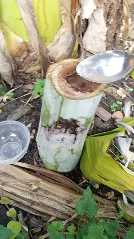 Alhamdulillah seger bolo moga bermanfaat 