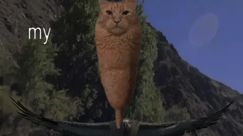#corndogcat #brainrot #cat #edit #astetic 