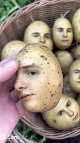 more potato video people asked #jonmud #fypp #okhi #fypppp 