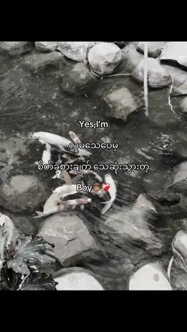 ဟူးးး.. #lyrics #xyzbca #lyric #vairal #ibcrd 