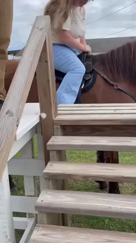 🐴🩷