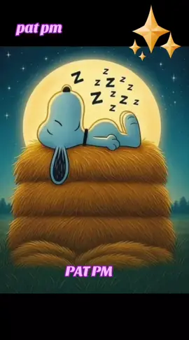 #CapCut #patpm #buen #snoppdog #buenasnoches 