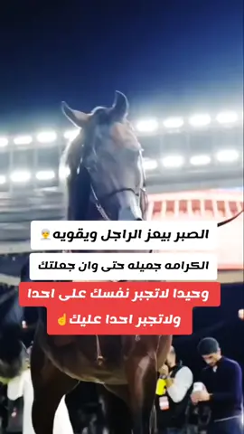 #خيل_وخياله🐎 #خيول_عربية_اصيلة_🌹💙  #مجرد________ذووووووق🎶🎵💞  #اقتباسات_عبارات_خواطر🖤🦋❤️  #المصمم_بوهيبه🎬بوهيبه🎵 