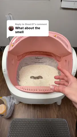 Replying to @Sheal.07 I don’t smell anything 🙏🏻 #cats #catlitter #litterbox #automaticlitterbox #tiktokshopcreatorpicks 