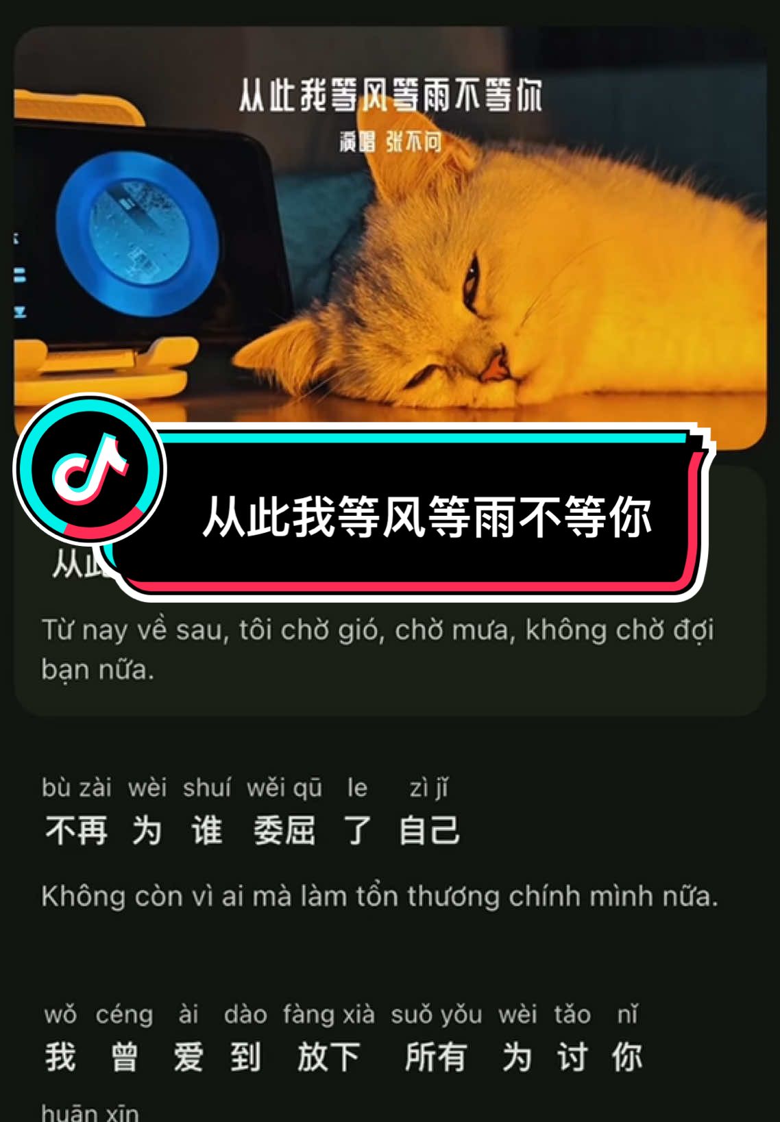Suuy//  #从此我等风等雨不等你    🎧🎵 #nhactrung  #chinasong  #lovesong #chinesemusic luyennghetiengtrung🌱 learningchinese🌱学中文🌱hoctiengtrung🌱 hoctiengtrungonline🌱nochill95🍂
