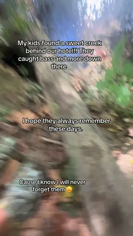 #tennessee #creek #riverrats #hillsoftennessee #foothills 