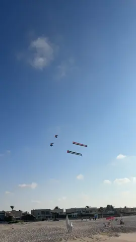 🇪🇬🦅