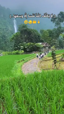 #بذكر__الله__تطمئن_القلوب🥹🙏💚🕊 #لايك_متابعه_اكسبلور_تعليق_مشاركةi🤲💚💙 #حتى_استمر_وياكم_بالنشر🥰💚🤍 #اللهم_سترك_ورحمتك_وعفوك_ورضاك_ومغفرتك #اللهم_صل_على_محمد_وآل_محمد 