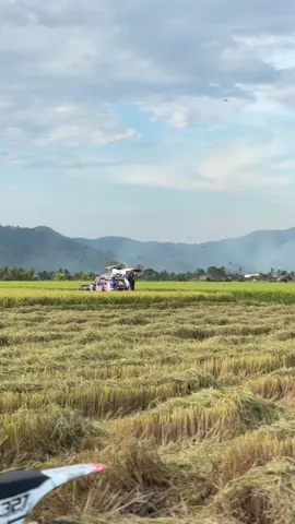 om gacor punya@Aderival327 #taksigabah #taksisulawesi #kurirpadi🌾 