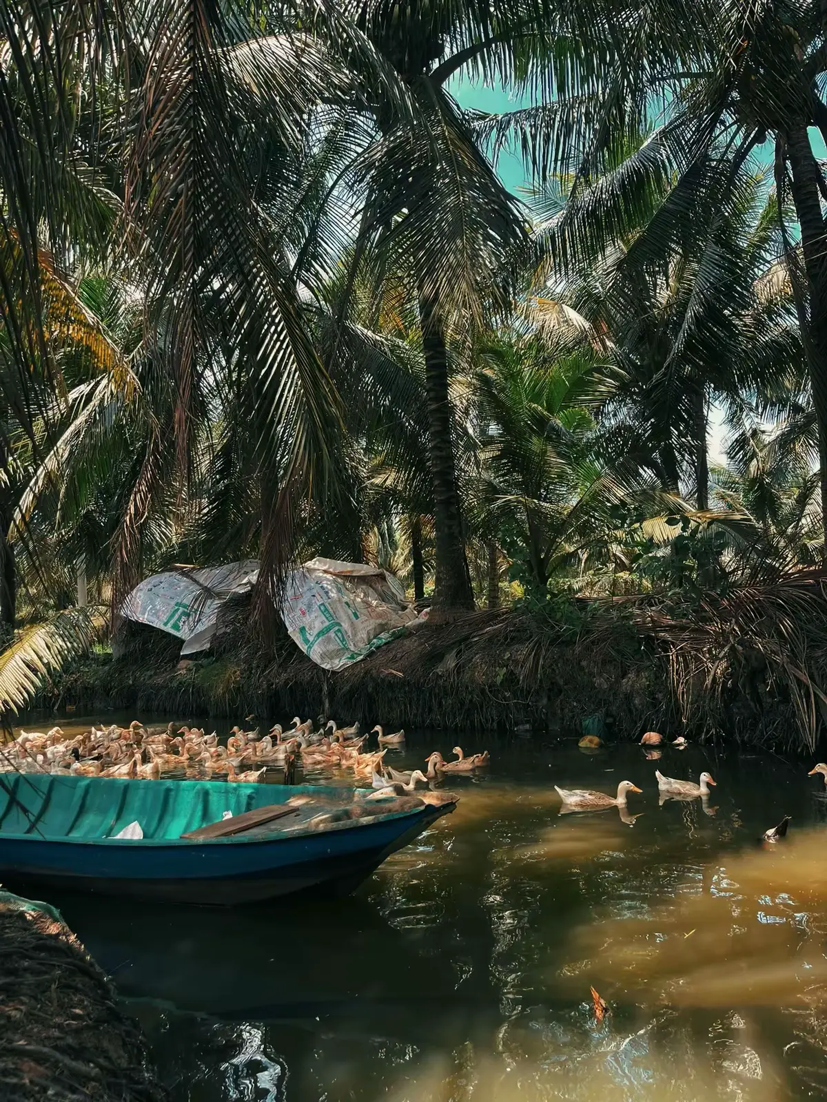 🌴🪿🦗🪺🌸🫧🌾